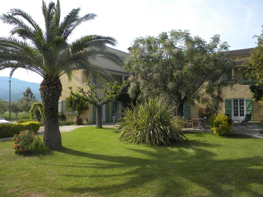 Auberge Les Oliviers Lucciana  Luaran gambar