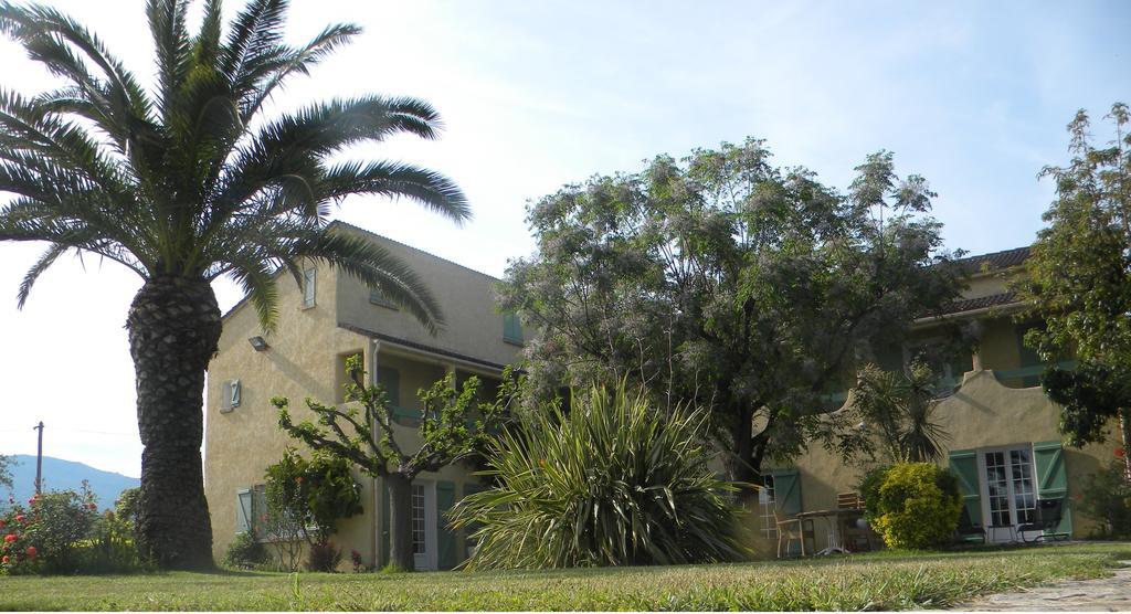 Auberge Les Oliviers Lucciana  Luaran gambar