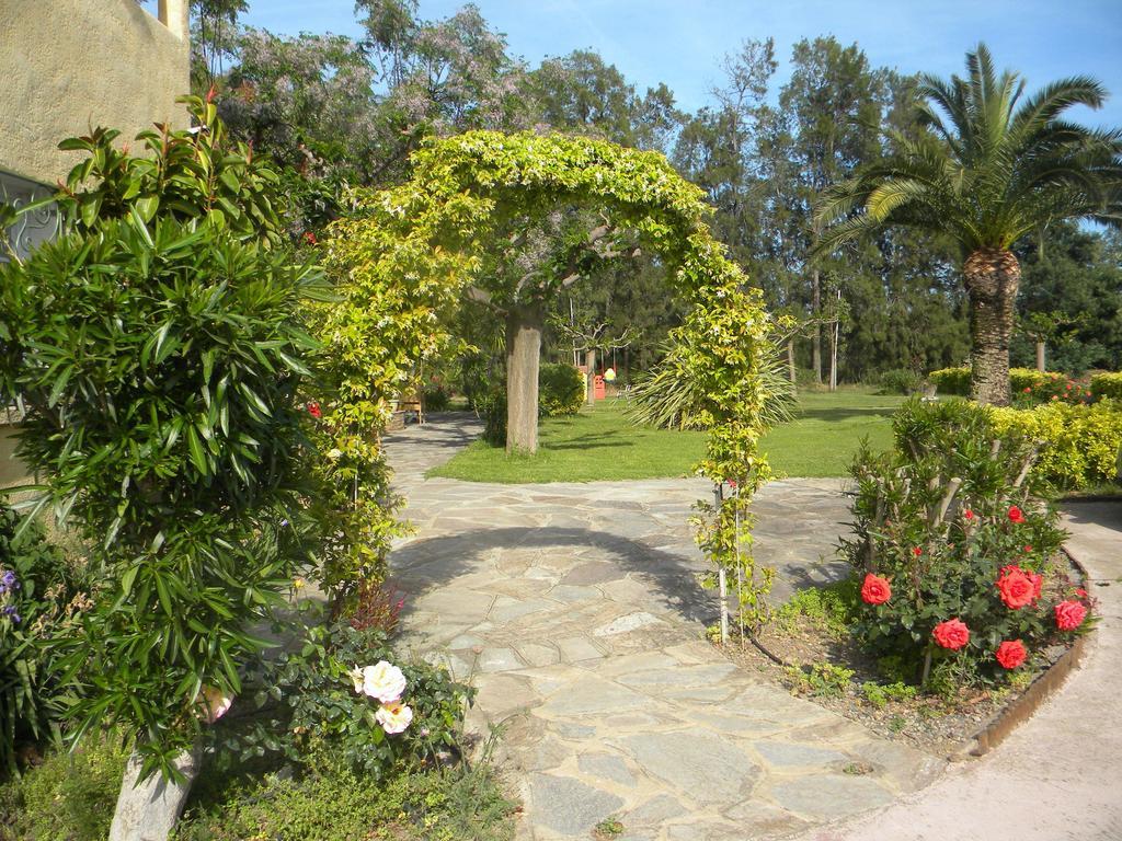 Auberge Les Oliviers Lucciana  Luaran gambar