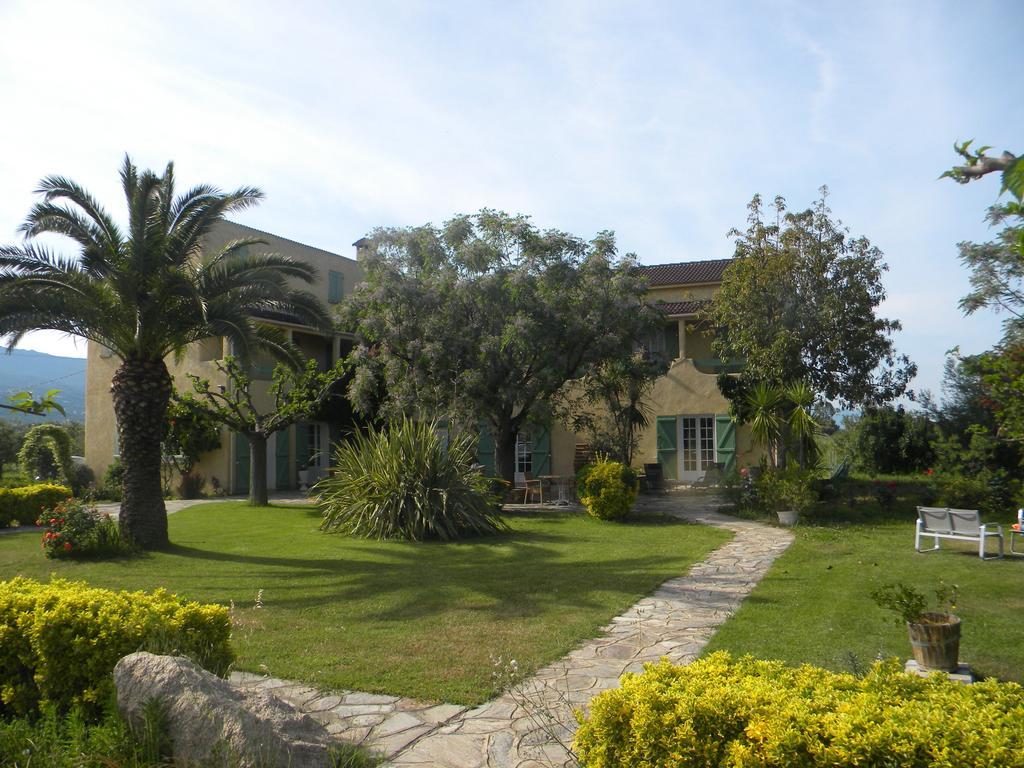 Auberge Les Oliviers Lucciana  Luaran gambar